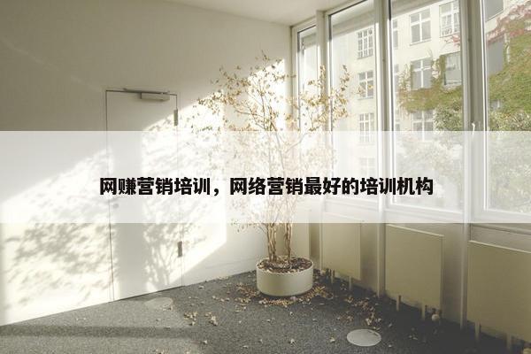 网赚营销培训，网络营销最好的培训机构
