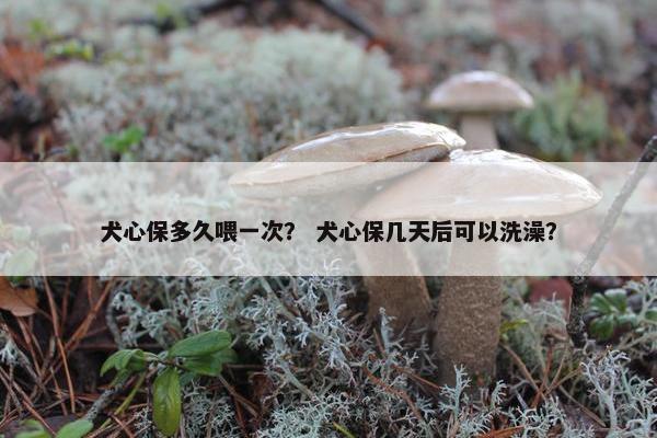犬心保多久喂一次？ 犬心保几天后可以洗澡？