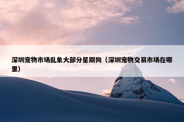 深圳宠物市场乱象大部分星期狗（深圳宠物交易市场在哪里）