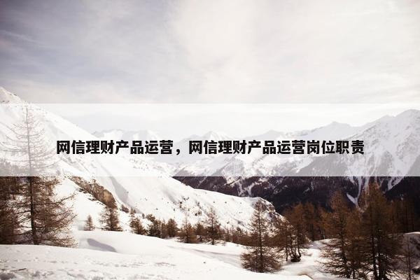 网信理财产品运营，网信理财产品运营岗位职责