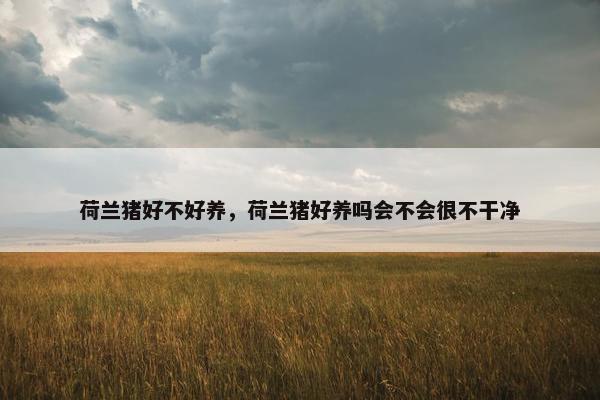荷兰猪好不好养，荷兰猪好养吗会不会很不干净