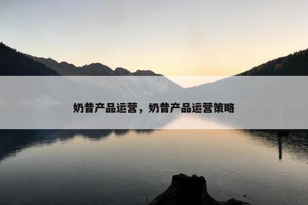 奶昔产品运营，奶昔产品运营策略