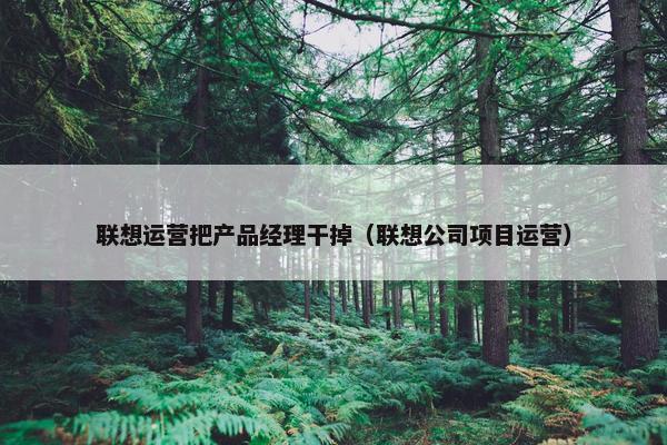 联想运营把产品经理干掉（联想公司项目运营）