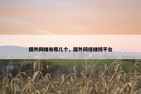 国外网赚有哪几个，国外网络赚钱平台