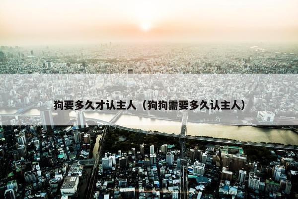 狗要多久才认主人（狗狗需要多久认主人）
