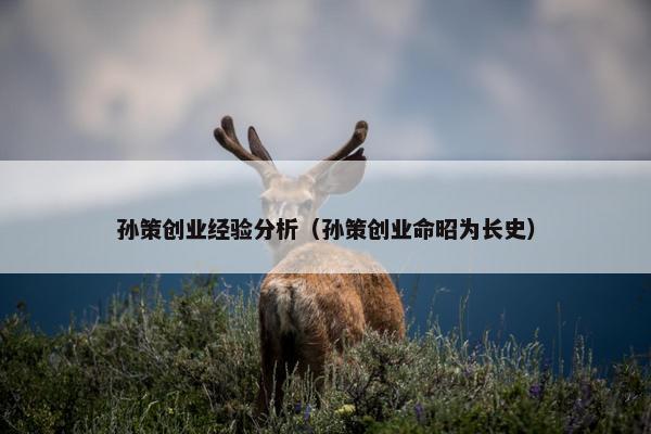 孙策创业经验分析（孙策创业命昭为长史）