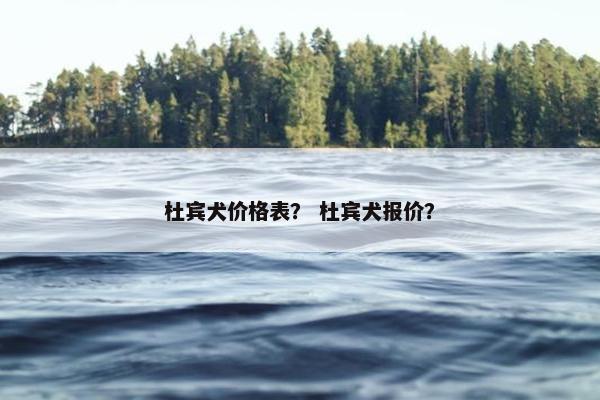 杜宾犬价格表？ 杜宾犬报价？