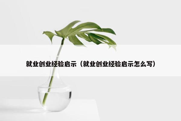就业创业经验启示（就业创业经验启示怎么写）