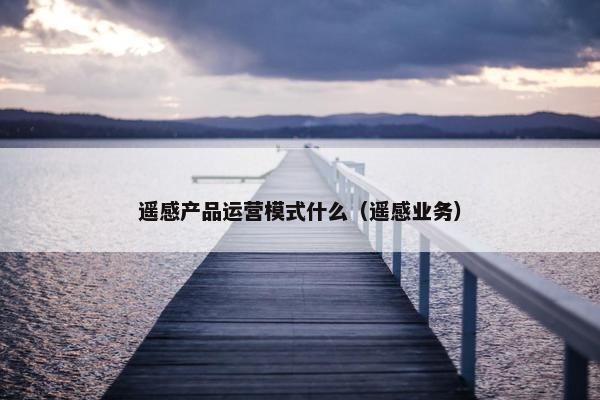 遥感产品运营模式什么（遥感业务）