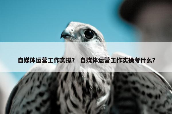 自媒体运营工作实操？ 自媒体运营工作实操考什么？
