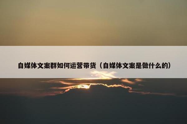 自媒体文案群如何运营带货（自媒体文案是做什么的）