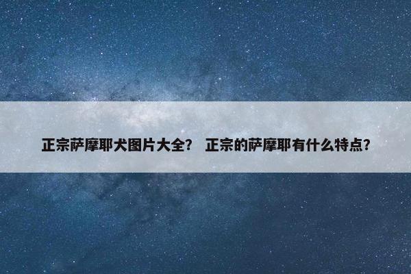 正宗萨摩耶犬图片大全？ 正宗的萨摩耶有什么特点？