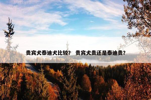 贵宾犬泰迪犬比较？ 贵宾犬贵还是泰迪贵？