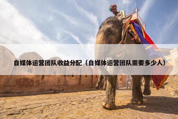 自媒体运营团队收益分配（自媒体运营团队需要多少人）