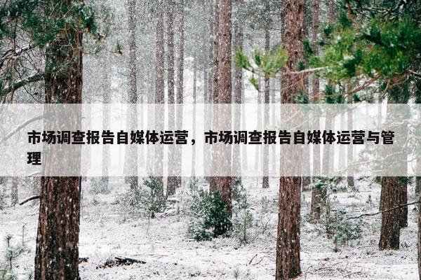 市场调查报告自媒体运营，市场调查报告自媒体运营与管理
