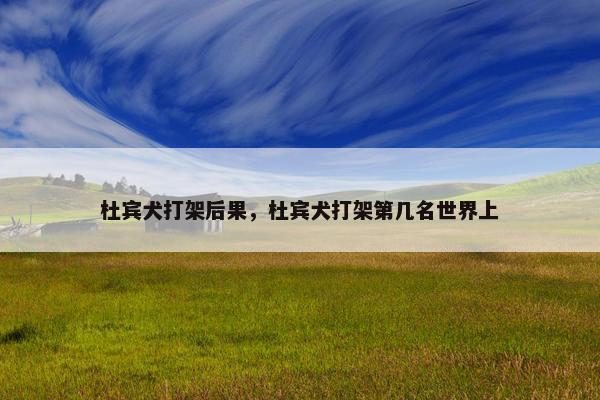 杜宾犬打架后果，杜宾犬打架第几名世界上