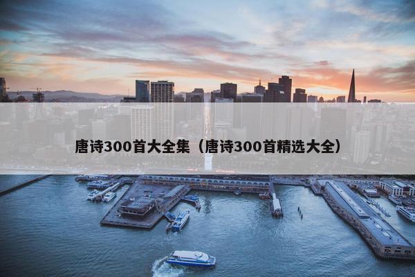 唐诗300首大全集（唐诗300首精选大全）