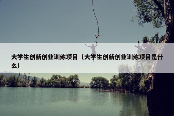 大学生创新创业训练项目（大学生创新创业训练项目是什么）