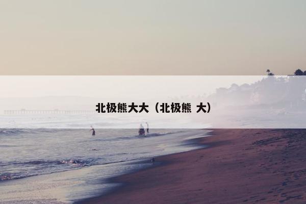 北极熊大大（北极熊 大）