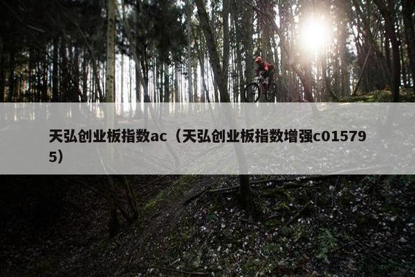 天弘创业板指数ac（天弘创业板指数增强c015795）