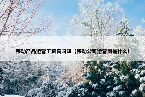 移动产品运营工资高吗知（移动公司运营岗是什么）