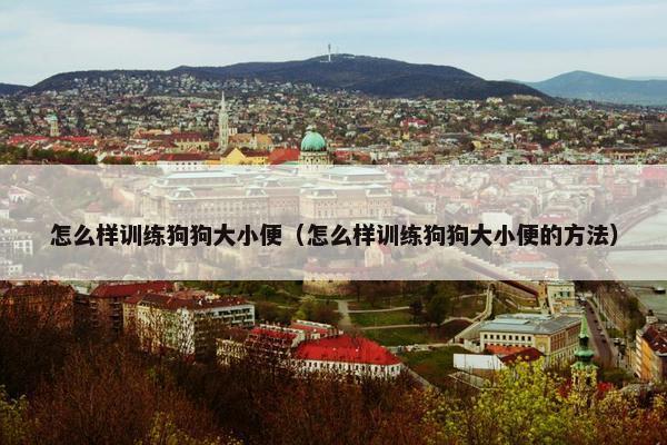 怎么样训练狗狗大小便（怎么样训练狗狗大小便的方法）