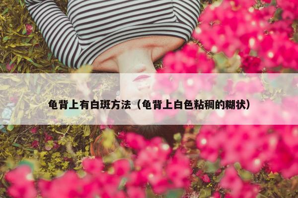 龟背上有白斑方法（龟背上白色粘稠的糊状）