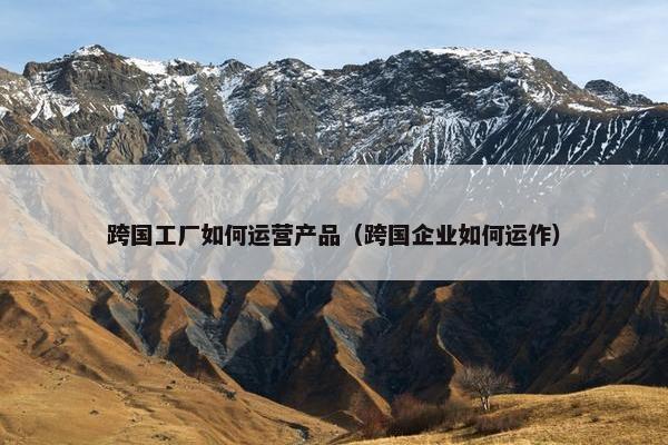 跨国工厂如何运营产品（跨国企业如何运作）