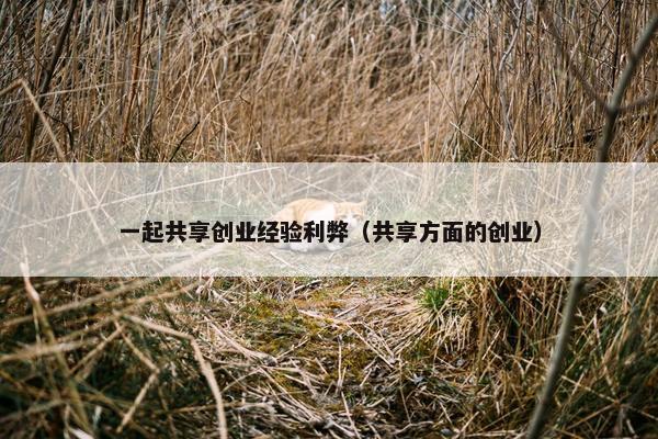 一起共享创业经验利弊（共享方面的创业）