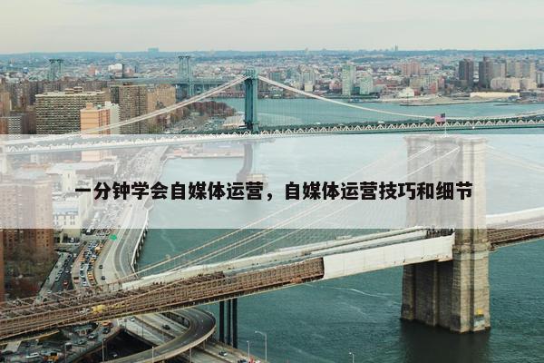 一分钟学会自媒体运营，自媒体运营技巧和细节