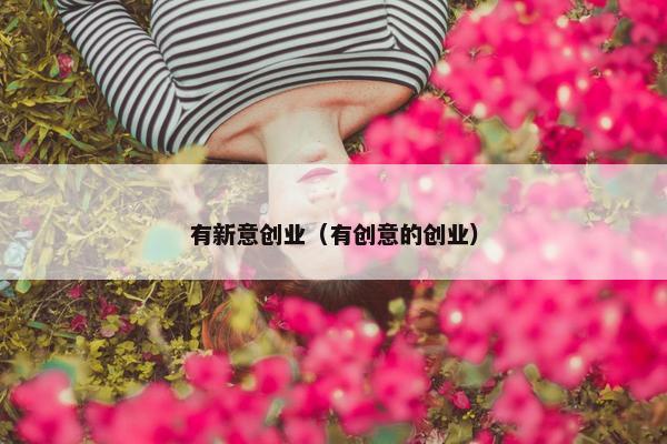 有新意创业（有创意的创业）