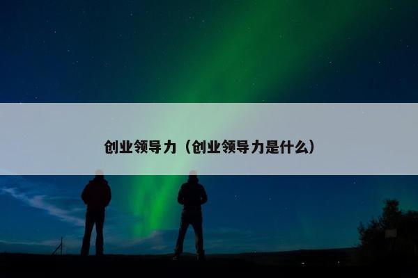 创业领导力（创业领导力是什么）