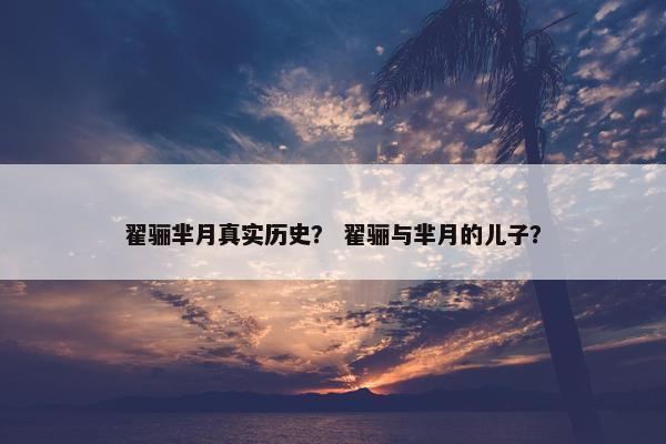 翟骊芈月真实历史？ 翟骊与芈月的儿子？