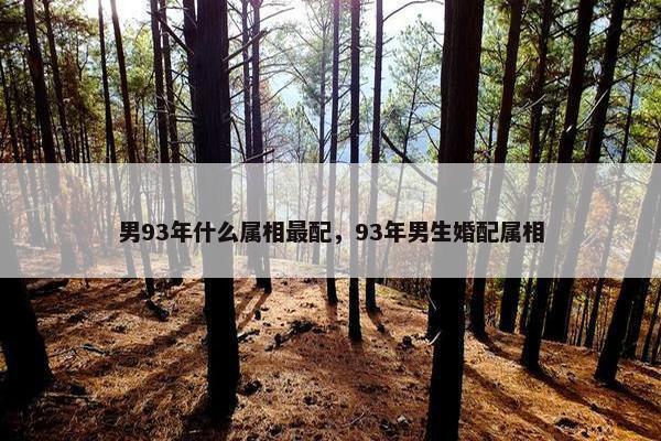 男93年什么属相最配，93年男生婚配属相