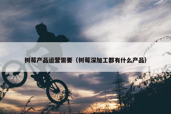 树莓产品运营需要（树莓深加工都有什么产品）