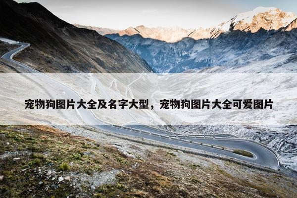 宠物狗图片大全及名字大型，宠物狗图片大全可爱图片