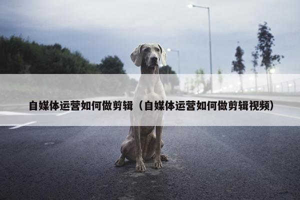 自媒体运营如何做剪辑（自媒体运营如何做剪辑视频）