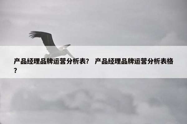 产品经理品牌运营分析表？ 产品经理品牌运营分析表格？