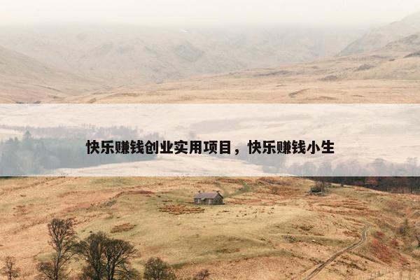快乐赚钱创业实用项目，快乐赚钱小生