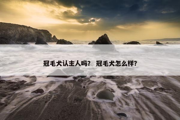 冠毛犬认主人吗？ 冠毛犬怎么样？