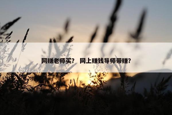 网赚老师买？ 网上赚钱导师带赚？
