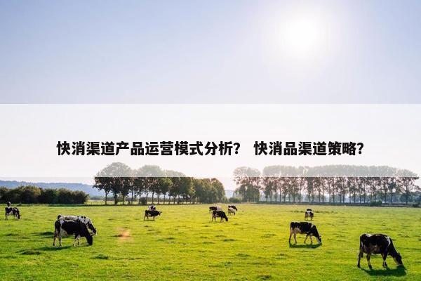 快消渠道产品运营模式分析？ 快消品渠道策略？