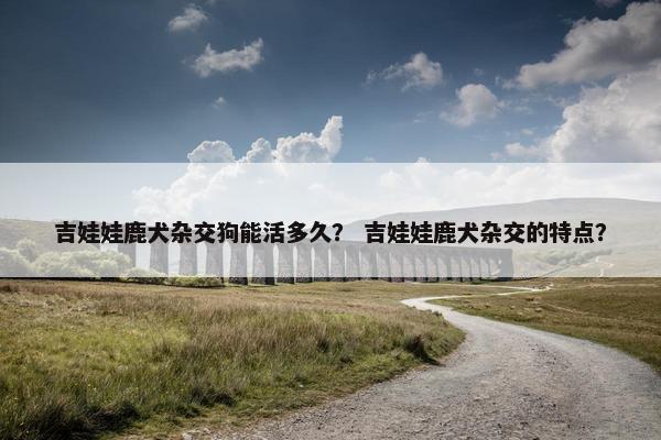 吉娃娃鹿犬杂交狗能活多久？ 吉娃娃鹿犬杂交的特点？