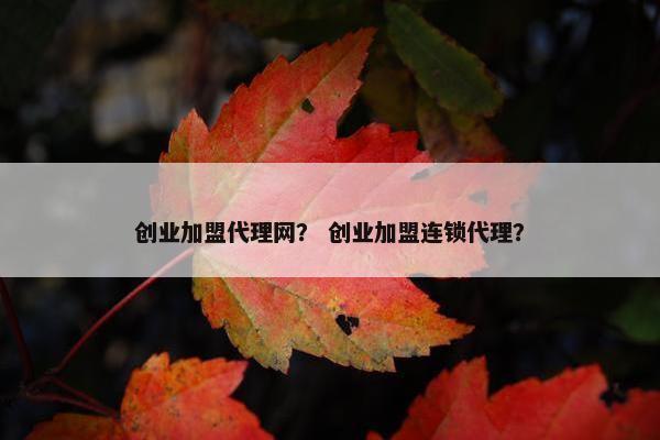 创业加盟代理网? 创业加盟连锁代理?